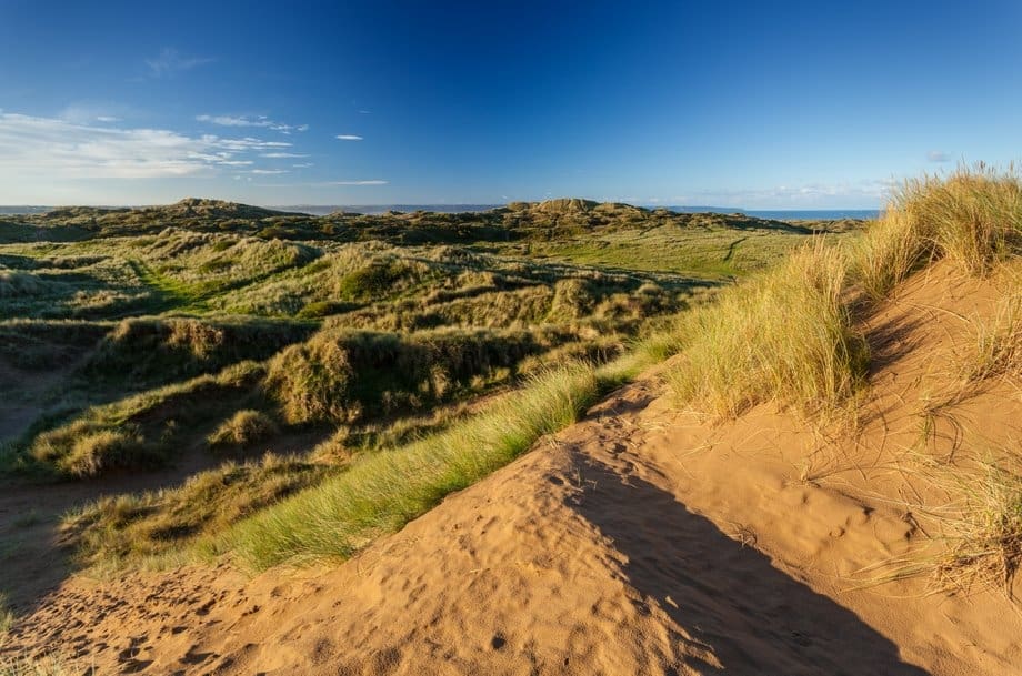 Braunton Burrows: A Hidden Natural Gem in North Devon